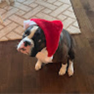 Meet your Posher, Brandon